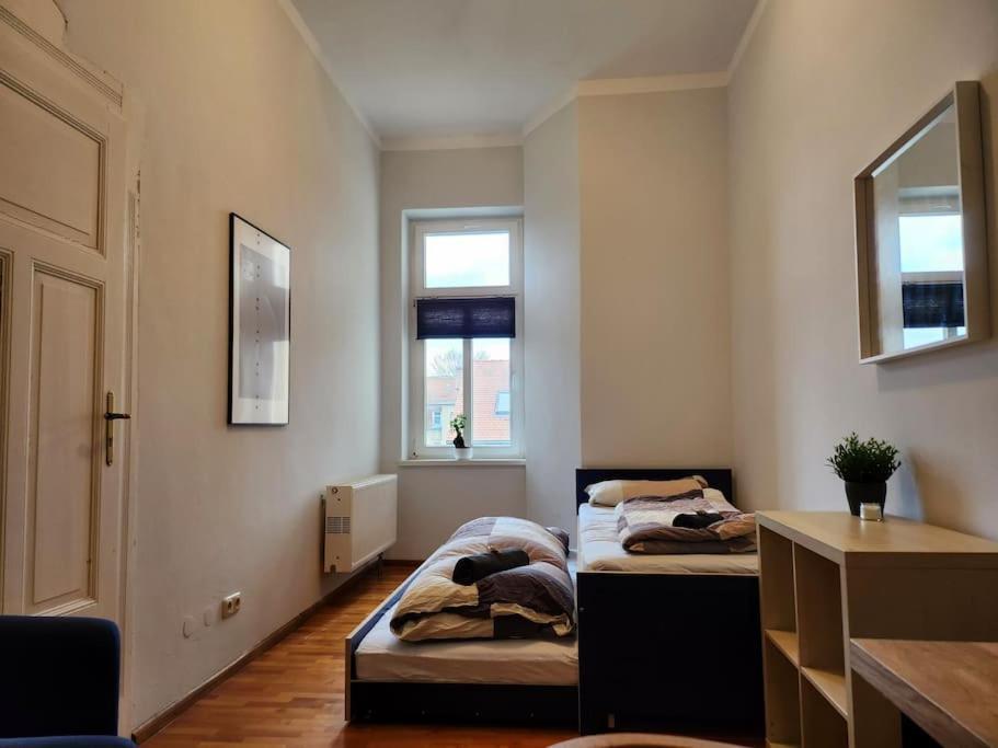 4 Raum Wohnung Mit Balkon Auf 120Sqm In Top Lage เดรสเดน ภายนอก รูปภาพ